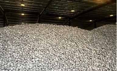 50 TPD Charcoal Briquettes Dryer Design In SA2